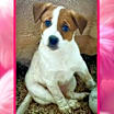 Thumbnail photo of Nixa URGENT HELP! #3
