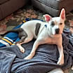 Thumbnail photo of Abel #3