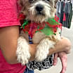 Thumbnail photo of Davis #4