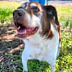 Thumbnail photo of Cleo #4