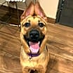 Thumbnail photo of Wesley #1