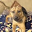Thumbnail photo of Wesley #2