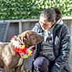 Thumbnail photo of Dottie #2