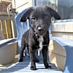 Thumbnail photo of Elliott #1