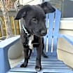 Thumbnail photo of Elliott #2
