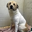 Thumbnail photo of Nala #3