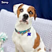 Thumbnail photo of Harvey #2