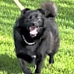 Thumbnail photo of Brewski #1
