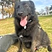 Thumbnail photo of Brewski #2