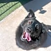Thumbnail photo of Brewski #3