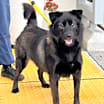 Thumbnail photo of Brewski #4