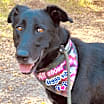 Thumbnail photo of Tanner #2