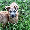 Thumbnail photo of Donna KA #1