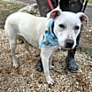 Thumbnail photo of Loki FM #4
