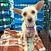 Thumbnail photo of Sandy #1