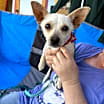 Thumbnail photo of Sandy #2