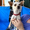 Thumbnail photo of Sandy #3