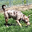 Thumbnail photo of Misha #4