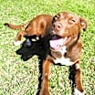 Thumbnail photo of Gunner #2