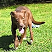 Thumbnail photo of Gunner #3