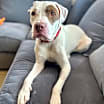 Thumbnail photo of Cooper 3721 #2