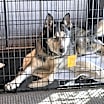 Thumbnail photo of Daggett #3