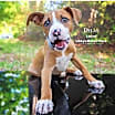 Thumbnail photo of Dylan #2