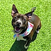 Thumbnail photo of Kali #1
