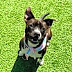 Thumbnail photo of Kali #2
