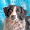 Thumbnail photo of Zig #1