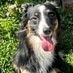 Thumbnail photo of Tatum #1