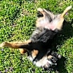 Thumbnail photo of Tatum #2