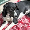 Thumbnail photo of Brooklyn #3