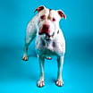 Thumbnail photo of Reina #2