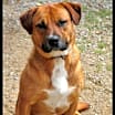 Thumbnail photo of Archie #3