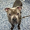 Thumbnail photo of Rayna #4