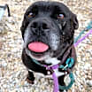 Thumbnail photo of Saphie #4