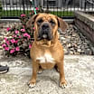 Thumbnail photo of Coco #4