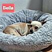 Thumbnail photo of Bella #2
