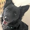 Thumbnail photo of Chance #1
