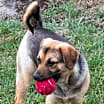 Thumbnail photo of Dallas #3