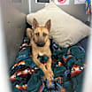 Thumbnail photo of Isadora #1