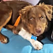 Thumbnail photo of Asher #1