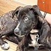 Thumbnail photo of Missy Cooper #3