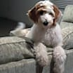 Thumbnail photo of Zoe #1