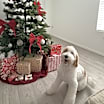 Thumbnail photo of Zoe #2