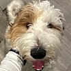 Thumbnail photo of Zoe #3