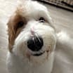 Thumbnail photo of Zoe #4
