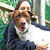 Thumbnail photo of Anacoco #4