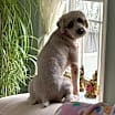 Thumbnail photo of Finn #1